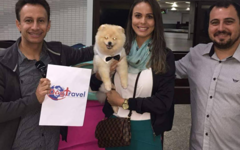 Screenshot 2021-11-24 at 21-45-27 DogTravel ( dogtravelbr) • Instagram photos and videos