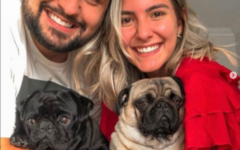 Screenshot 2021-11-24 at 21-47-46 DogTravel ( dogtravelbr) • Instagram photos and videos