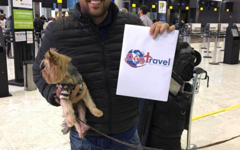 Screenshot 2021-11-24 at 21-48-43 DogTravel ( dogtravelbr) • Instagram photos and videos