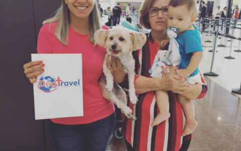 Screenshot 2021-11-24 at 21-49-26 DogTravel ( dogtravelbr) • Instagram photos and videos