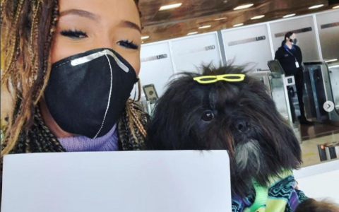 Screenshot 2021-11-24 at 21-51-23 DogTravel ( dogtravelbr) • Instagram photos and videos