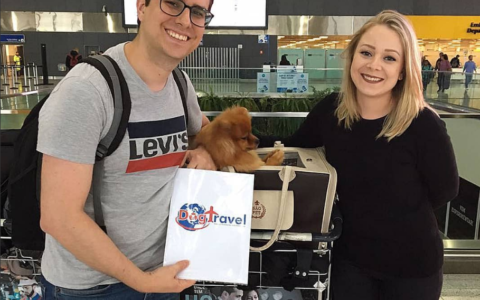 Screenshot 2021-11-24 at 21-54-55 DogTravel ( dogtravelbr) • Instagram photos and videos