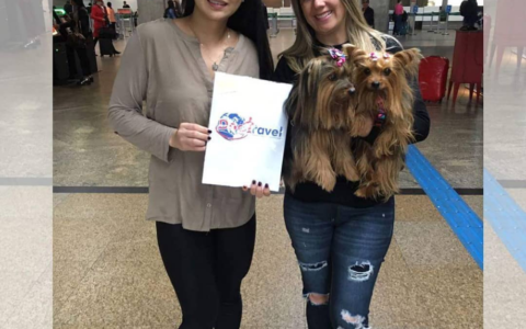 Screenshot 2021-11-24 at 21-57-12 DogTravel ( dogtravelbr) • Instagram photos and videos