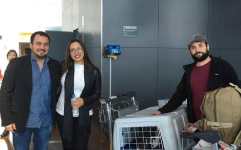 Screenshot 2021-11-24 at 21-58-00 DogTravel ( dogtravelbr) • Instagram photos and videos